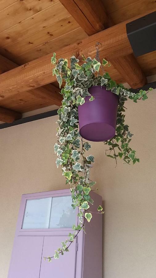 Bed & Breakfast Barbara Borgo Grotta Gigante ภายนอก รูปภาพ
